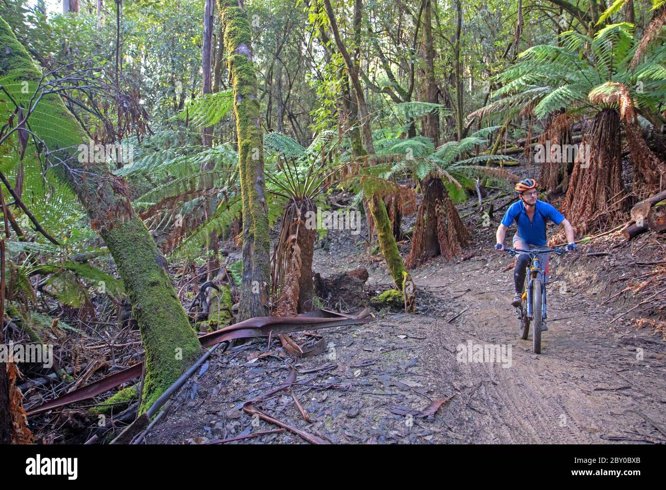 Ciclismo de montaña en el parque de bicicletas Maydena Foto de stock