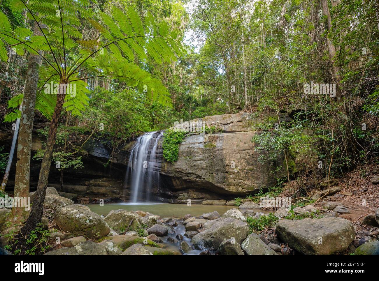 Una larga exposición de Serenity Falls y piscina de rocas al final de la caminata por el bosque de Buderim Forest Park en la Sunshine Coast en el sudeste de Queensland. Foto de stock