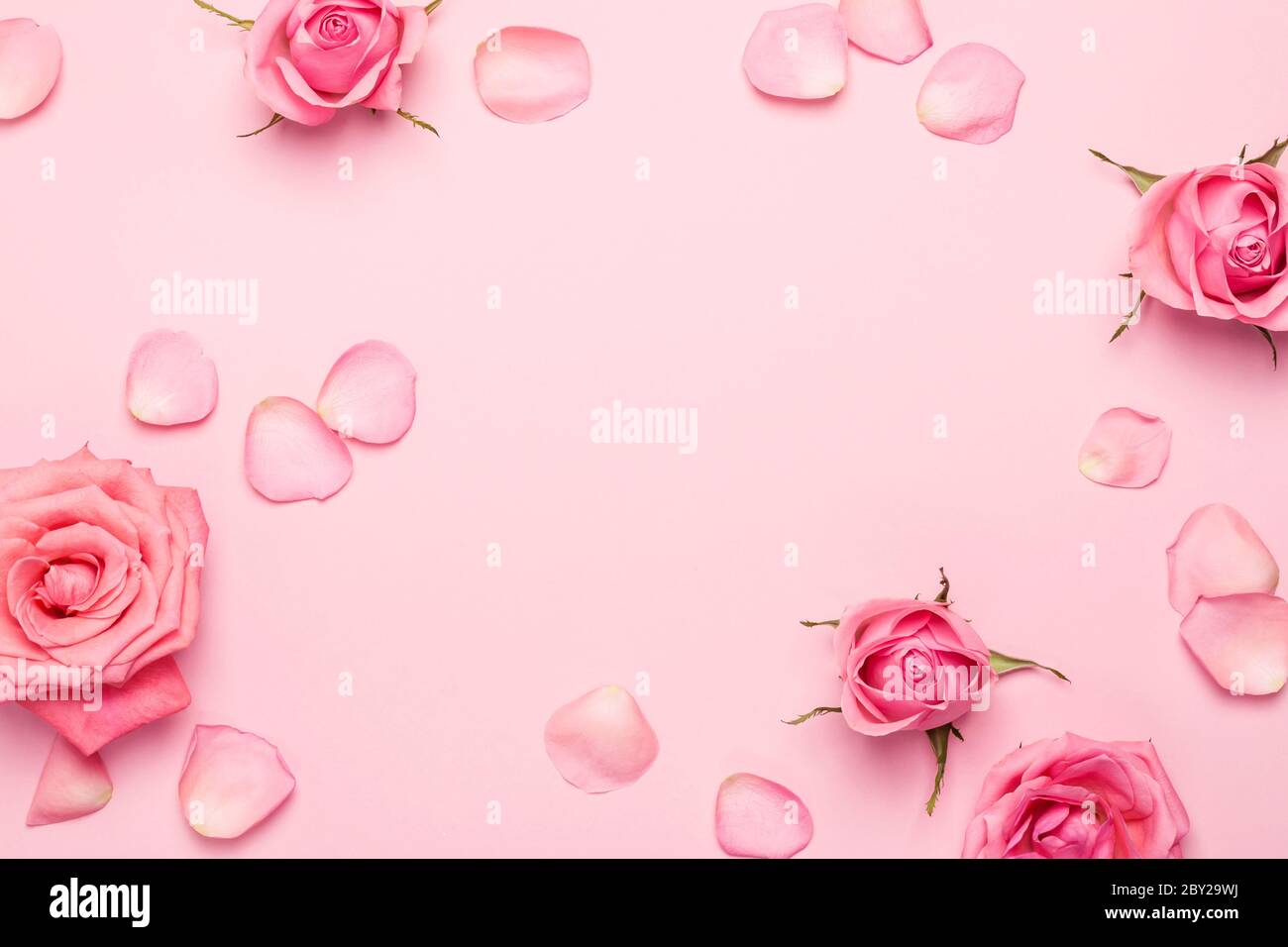 Flores rosas marco sobre fondo rosa pastel. Fondo monocromo floral para tu  diseño Fotografía de stock - Alamy