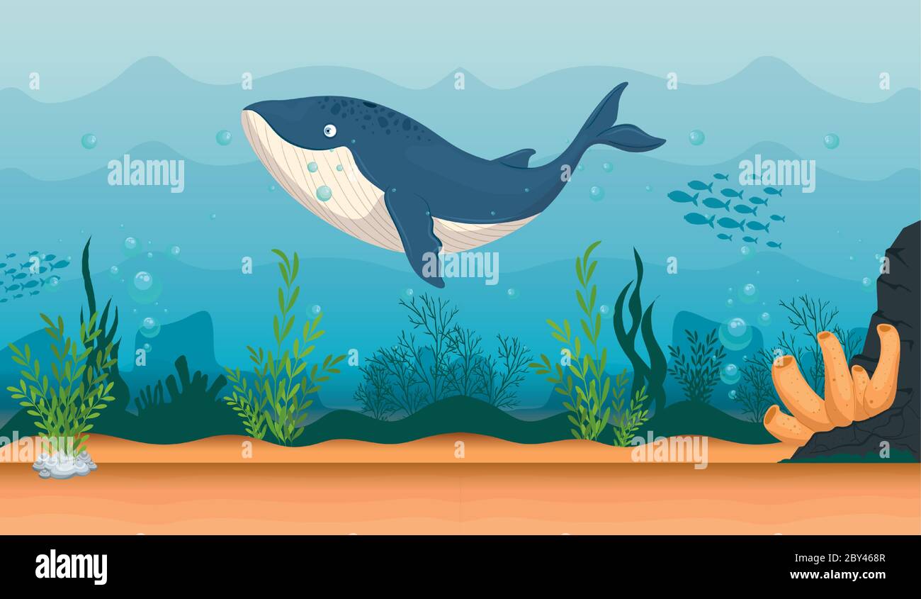 Ballenas en su hábitat marino