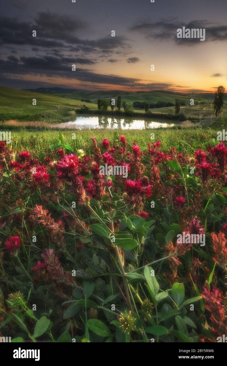 Campos de primavera en las colinas y la puesta de sol Foto de stock