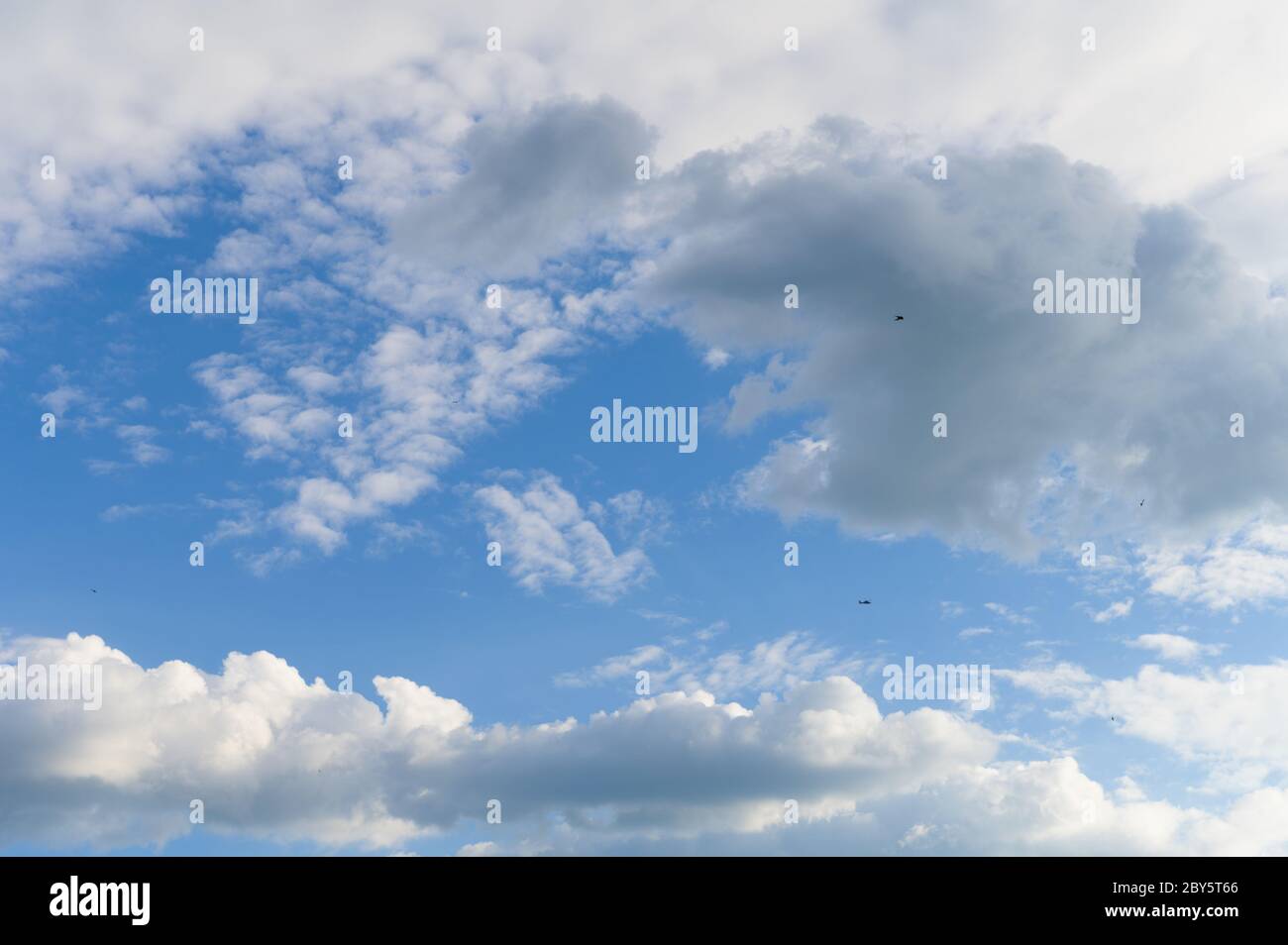 Cielo azul con nubes y aves vibrantes Foto de stock