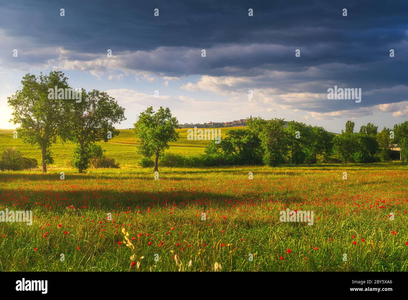 Tiempo tormentoso sobre amapolas y campos de verde Foto de stock