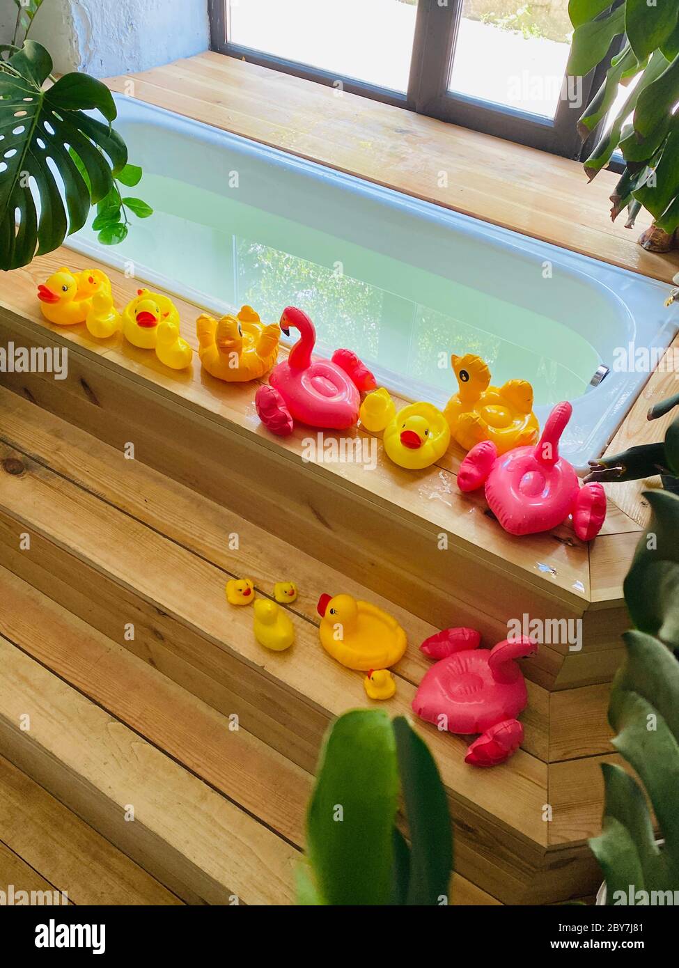 Los juguetes para niños en forma de patos y flamencos están al lado de bañera llena de agua para bañar a un niño en el fondo de las plantas de casa