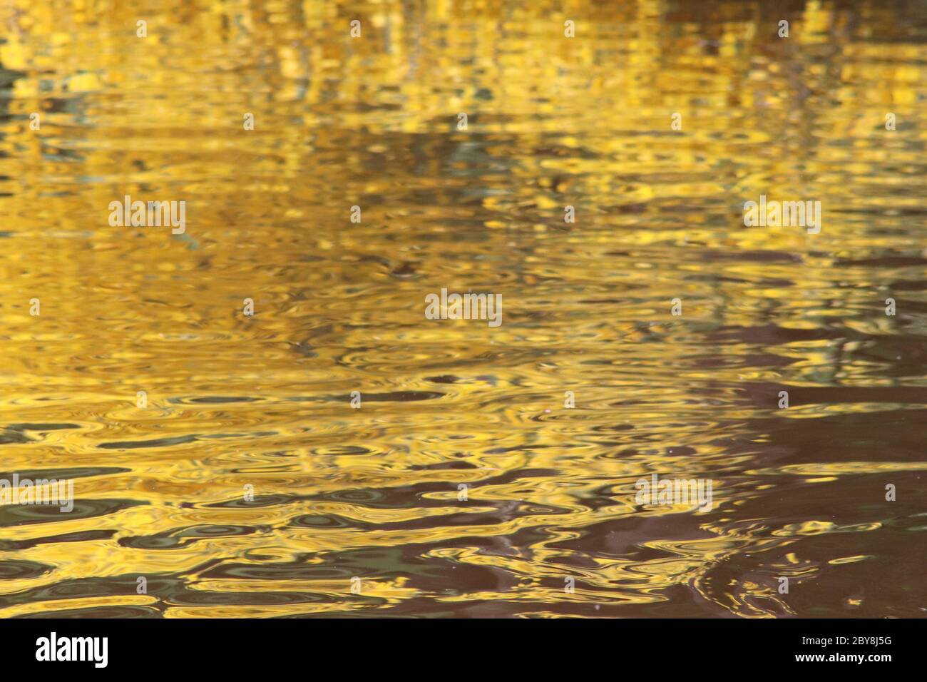 Reflejos de oro y verde en estanque Foto de stock