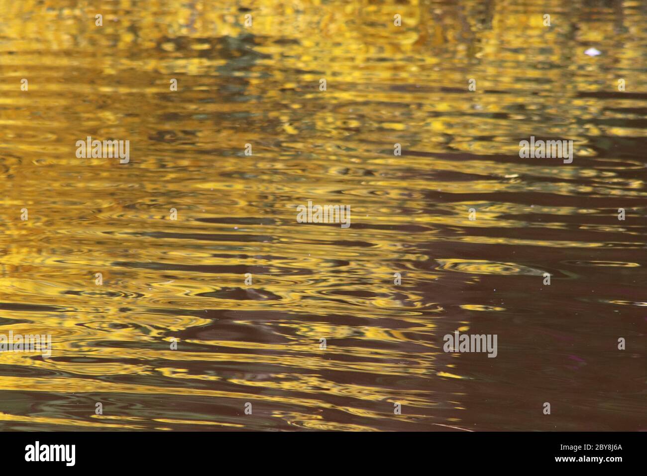 Reflejos de oro y verde en estanque Foto de stock