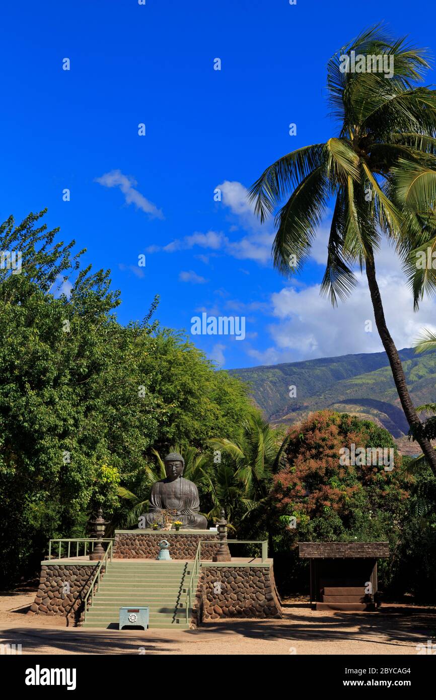 Gran Buda, Misión Lahaina Jodo, Lahaina, Isla Maui, Hawai, Estados Unidos Foto de stock