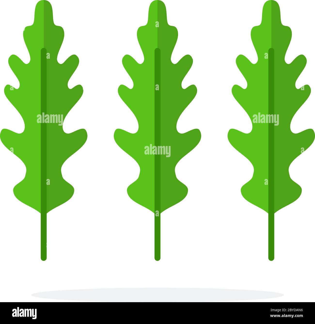 Tres hojas de arúgula plana aisladas Ilustración del Vector