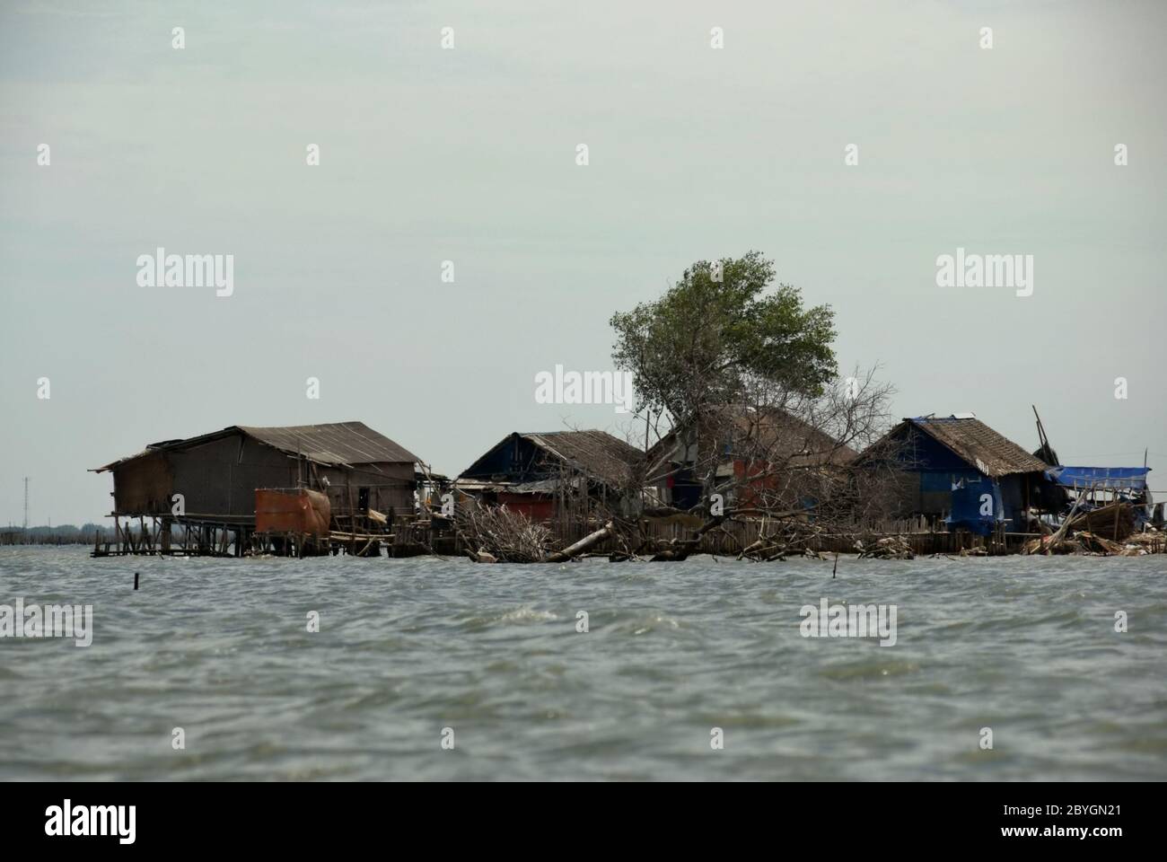 Casas de pilotes en la zona costera, en el estuario del canal de inundaciones de Yakarta que está en construcción (2008). Foto de stock