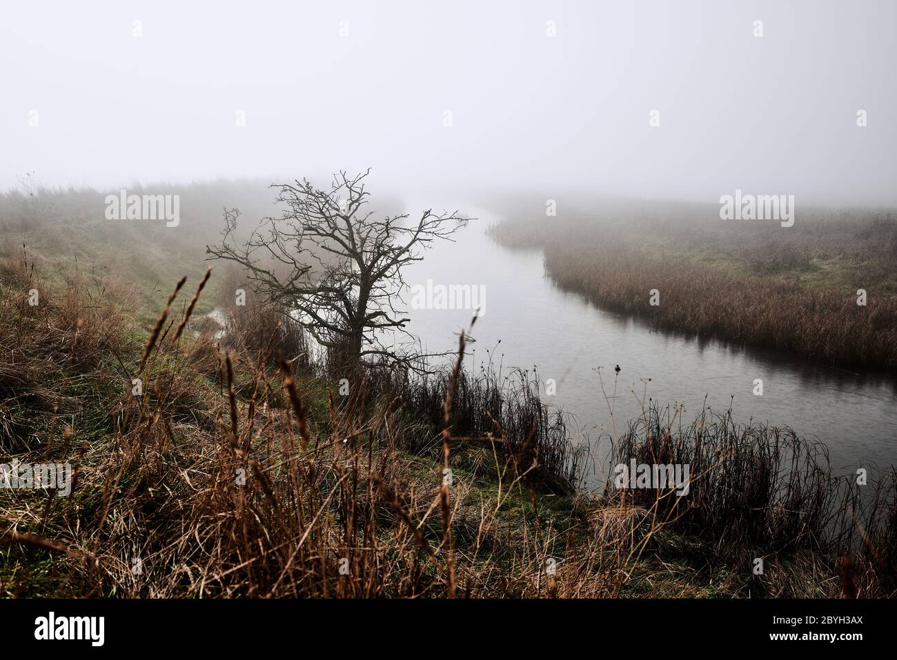 Neblina de la mañana en la Reserva Natural de OARE Marshes, OARE, Kent, Reino Unido. Foto de stock