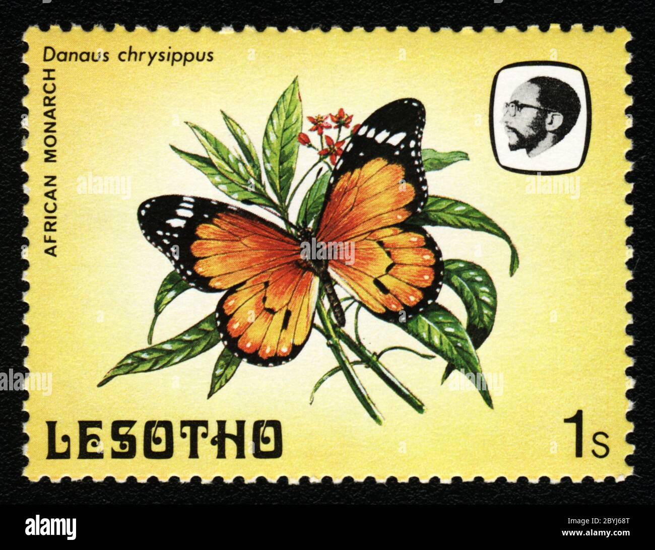 Monarca Africano, Danaus Chrysippus. Estampillas postales serie Mariposas, Lesotho,1984 Foto de stock