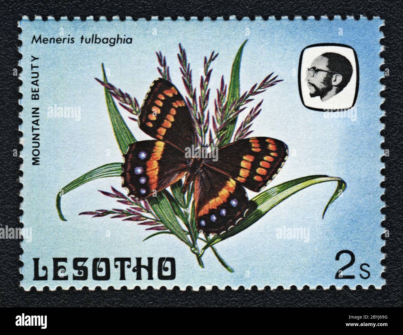 Belleza de la montaña, Meneris tulbaghia. Estampillas postales serie Mariposas, Lesotho,1984 Foto de stock