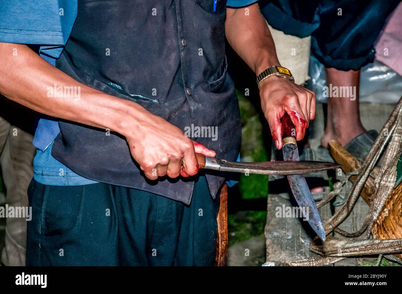 Huesos de vaca fotografías e imágenes de alta resolución - Página 9 - Alamy