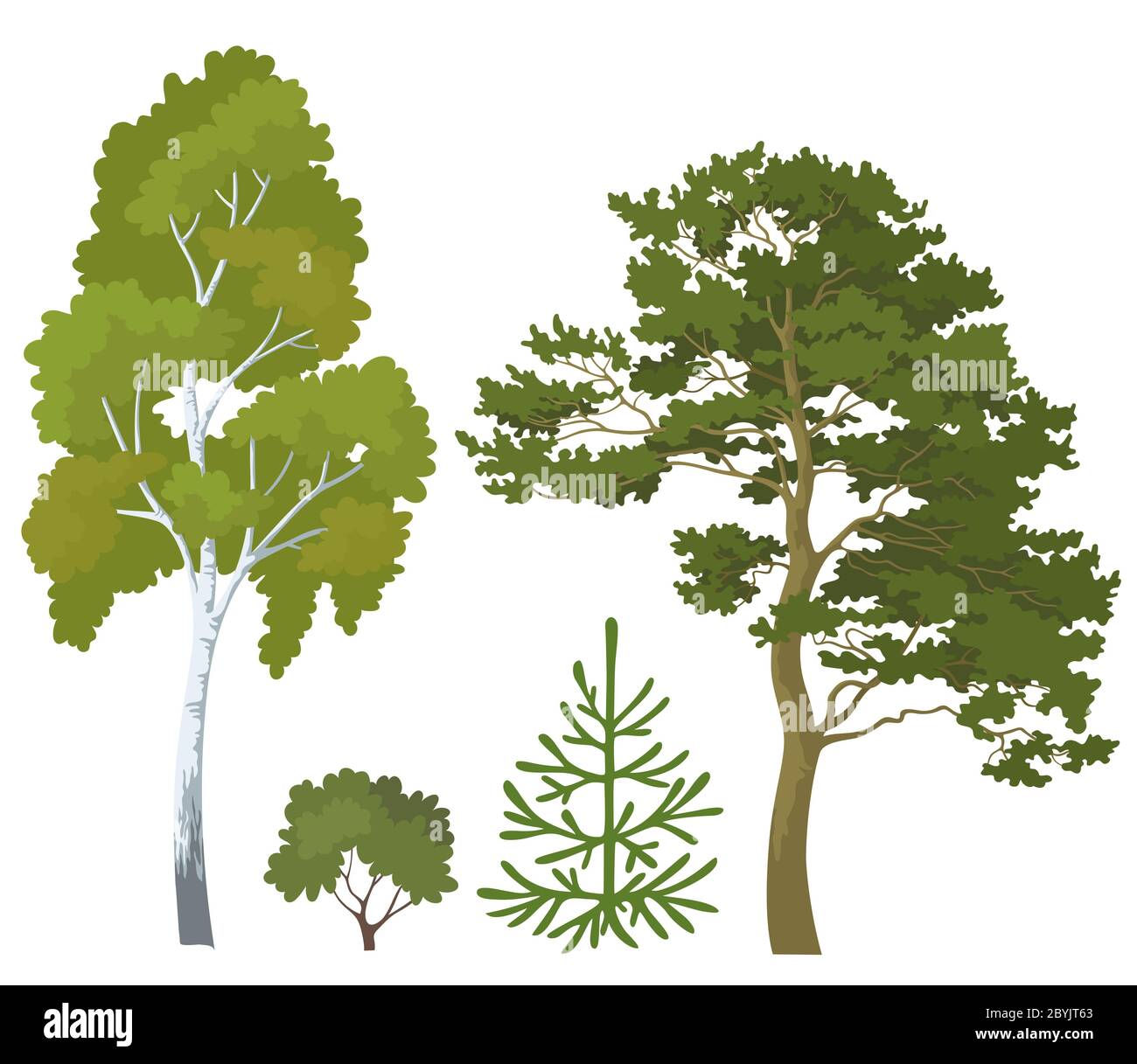Plantas forestales Imágenes recortadas de stock - Alamy
