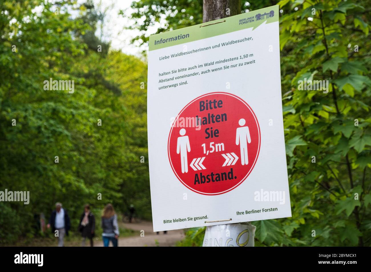 25.04.2020, Berlín, Berlín, Alemania - el tablero de información de los Bosques de Berlín señala la regla de la distancia cuando visita el Grunewald en tiempos de la Cob Foto de stock