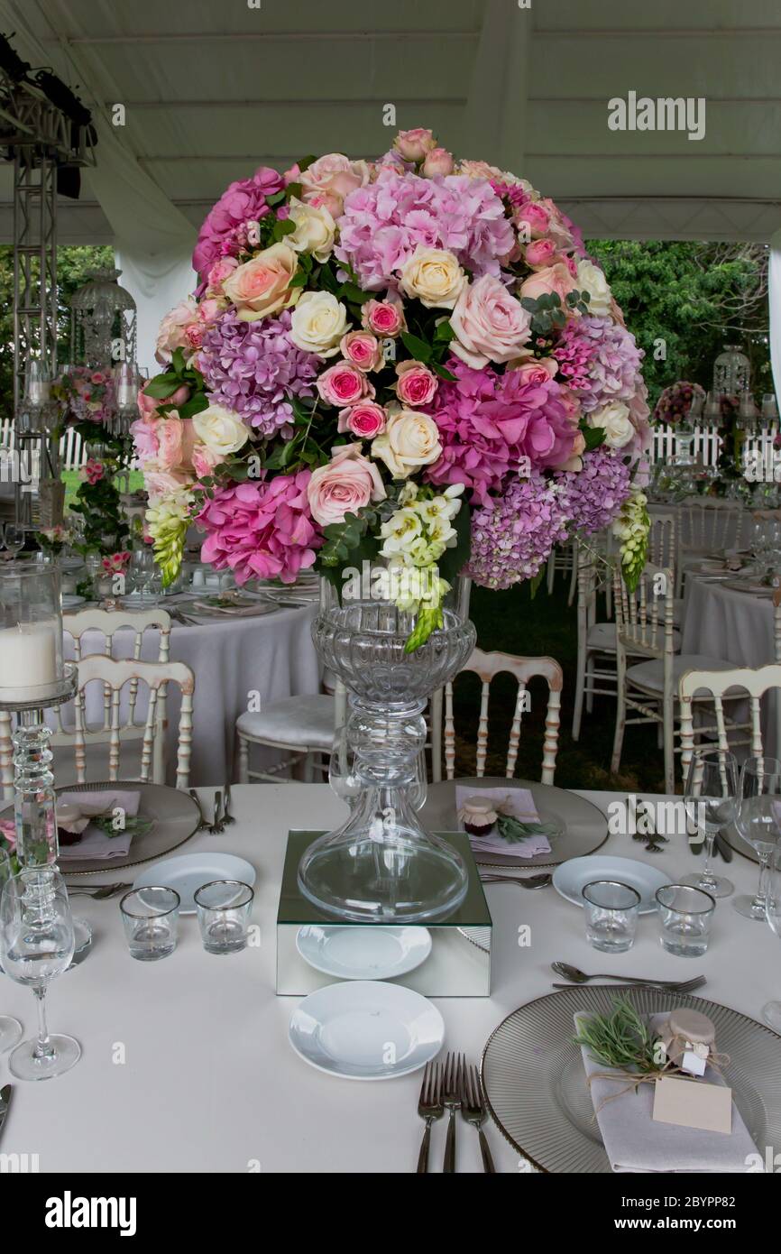 Una lujosa recepción de boda al aire libre en el campo; sillas tiffany rústicas blancas, arreglos florales de mesa, piezas de cristal central, tabl Foto de stock