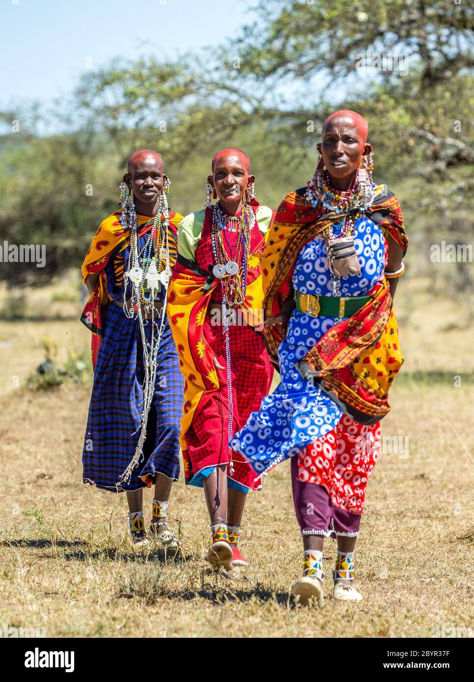 Las mujeres masai con ropa tradicional están en la sabana. Oriental, 12 de agosto 2018 Fotografía de stock - Alamy