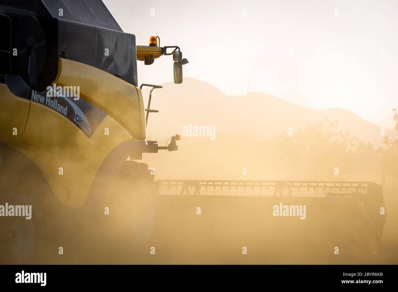 Sheffield, Canterbury, Nueva Zelanda, febrero de 10 2020: Una cosechadora trilladora amarilla de New Holland CR980 en el trabajo en un campo de guisantes cultivados para semillas Foto de stock