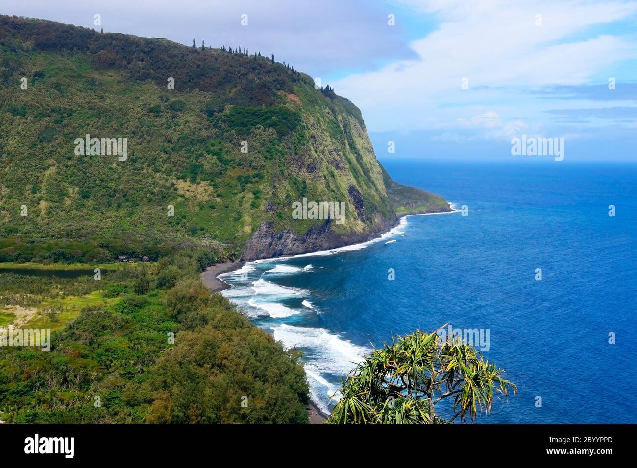 Increíble paisaje del valle de Waipio. Vista aérea con acantilado de origen volcánico en el azul brillante del océano Pacífico agua y valle con barrio residencial Foto de stock