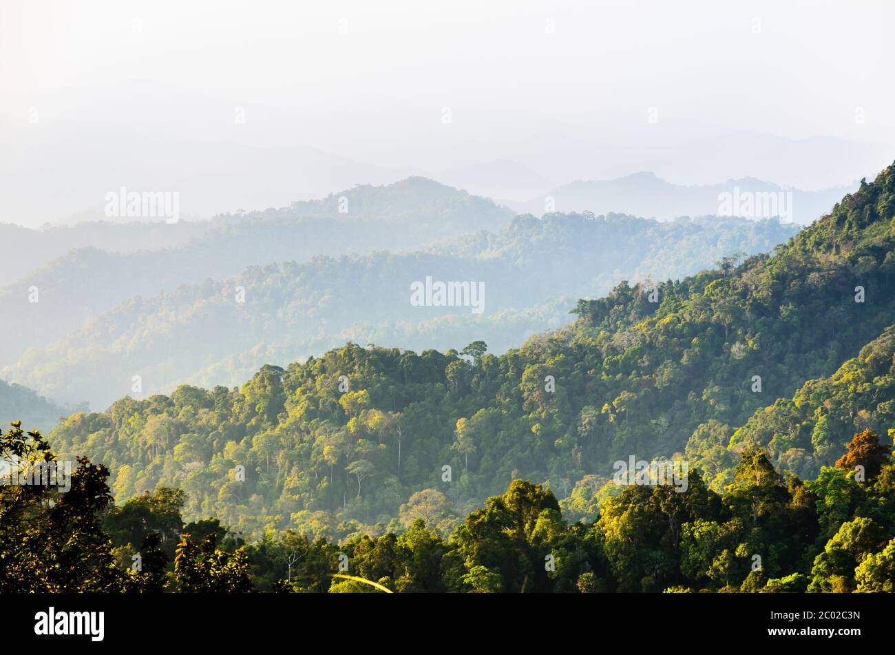 Vista de gran ángulo del bosque de montaña y el cielo Foto de stock