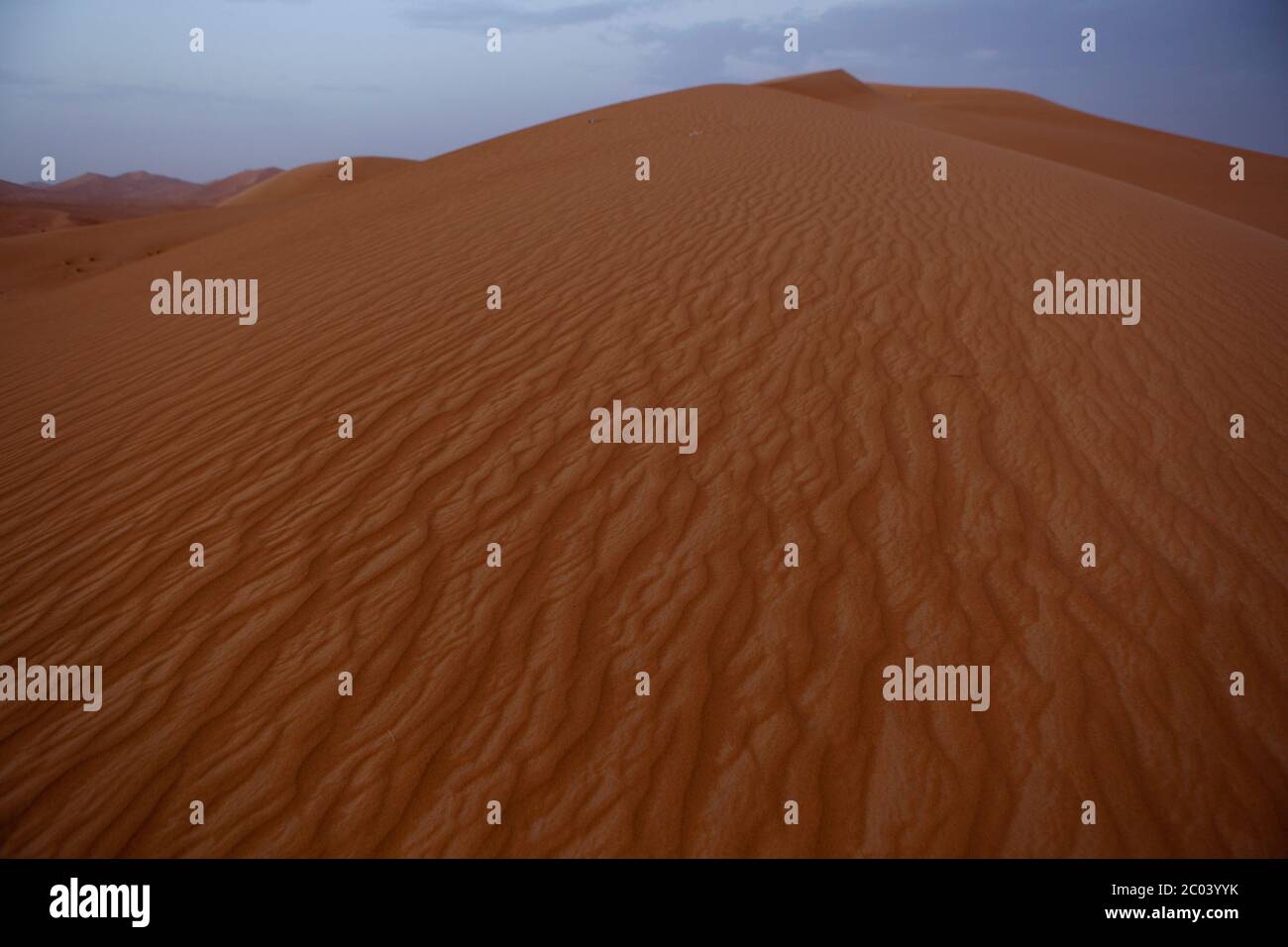 Dunas de arena en el desierto del Sahara, África del Norte. Foto de stock
