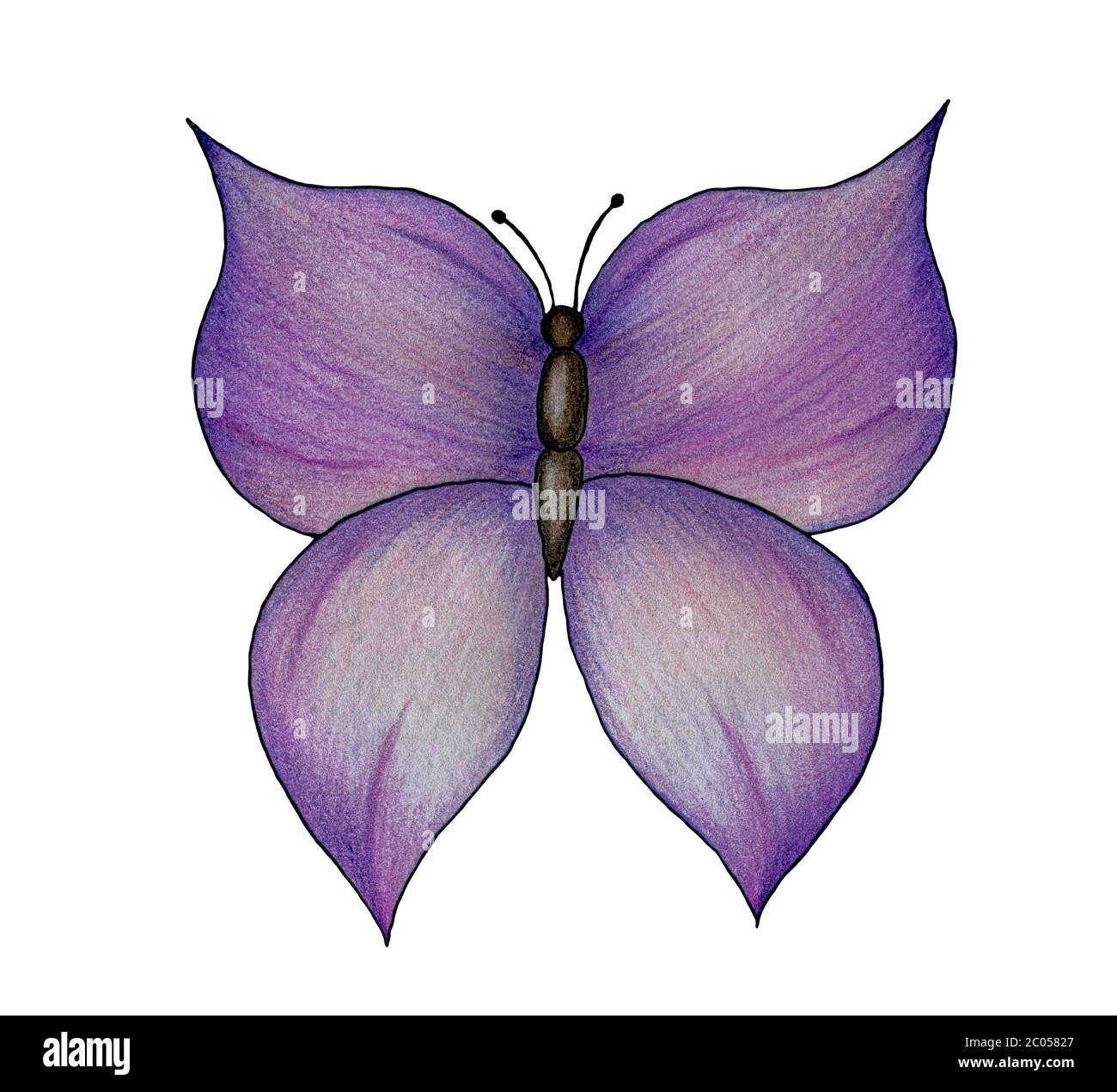 Mariposa dibujo arte lineal dibujos mariposa blanco y negro lápiz  mariposa patas de pincel simetría png  PNGWing