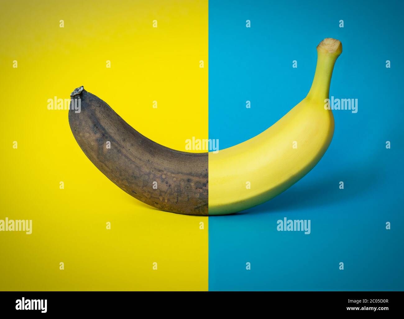 Medio buen medio engranaje plátano sobre fondo azul y amarillo de dos tonos, elemento gráfico, concepto de viejo y nuevo, diseño moderno, ideal para el backgroun gráfico Foto de stock