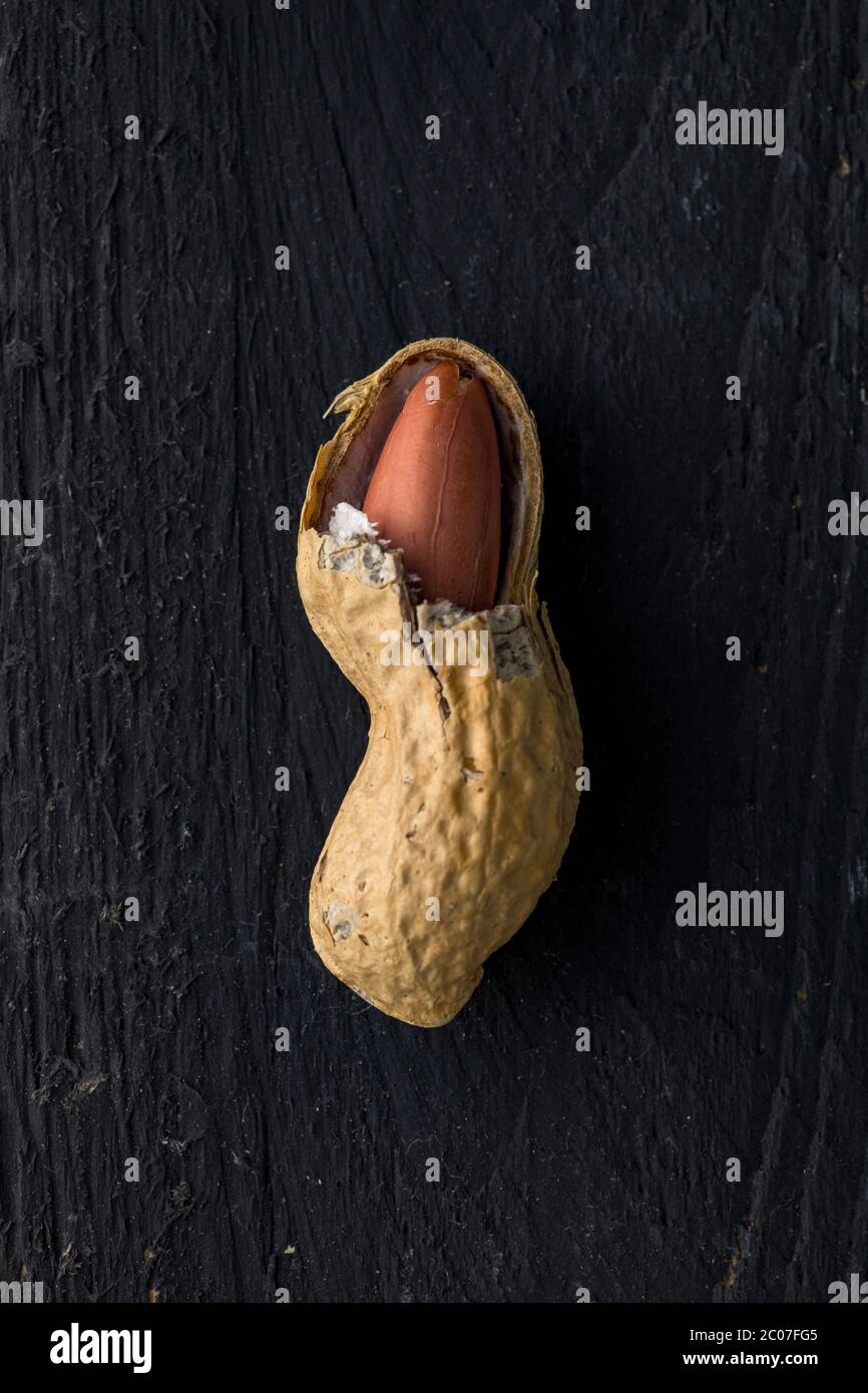 Se abrió la cáscara de cacahuete con una semilla dentro de ella, en una superficie de madera negra Foto de stock
