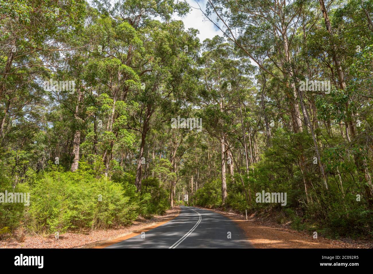 Graphite Road, una carretera rural en el Sureste del Bosque Estatal de Nannup, cerca de Nannup, Australia Occidental, Australia Foto de stock
