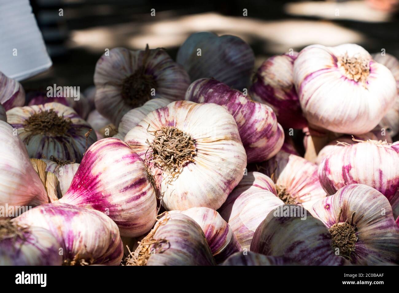 Ajo, Allium sativum, en venta en el mercado de la cabina, sur de Francia Foto de stock