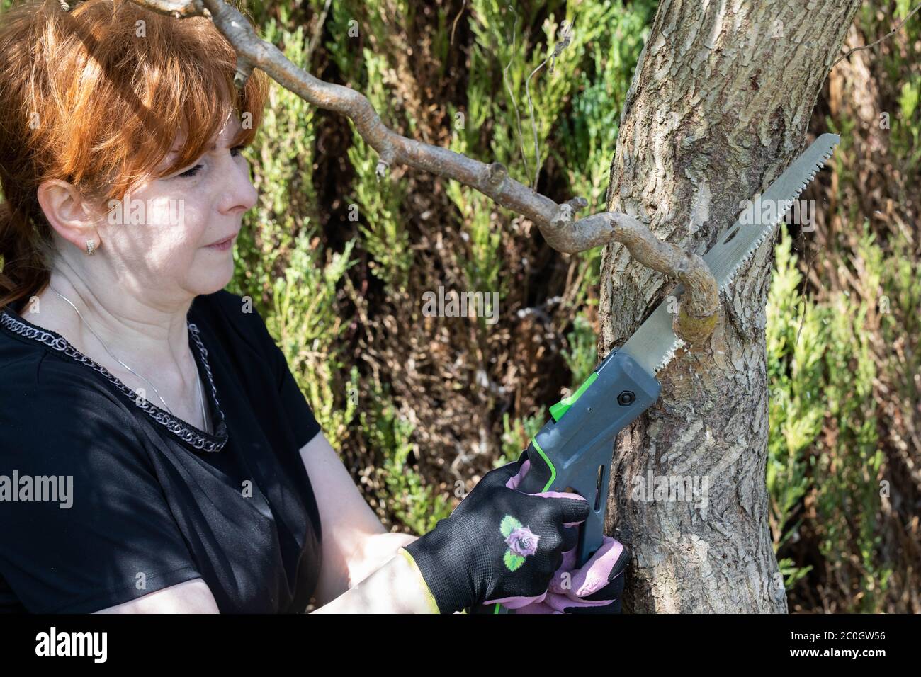Sierra de mano para cortar ramas gruesas del árbol. Mujer de pelo rojo  trabaja como jardinera. Limpieza de primavera en el jardín por los árboles  decorativos Fotografía de stock - Alamy