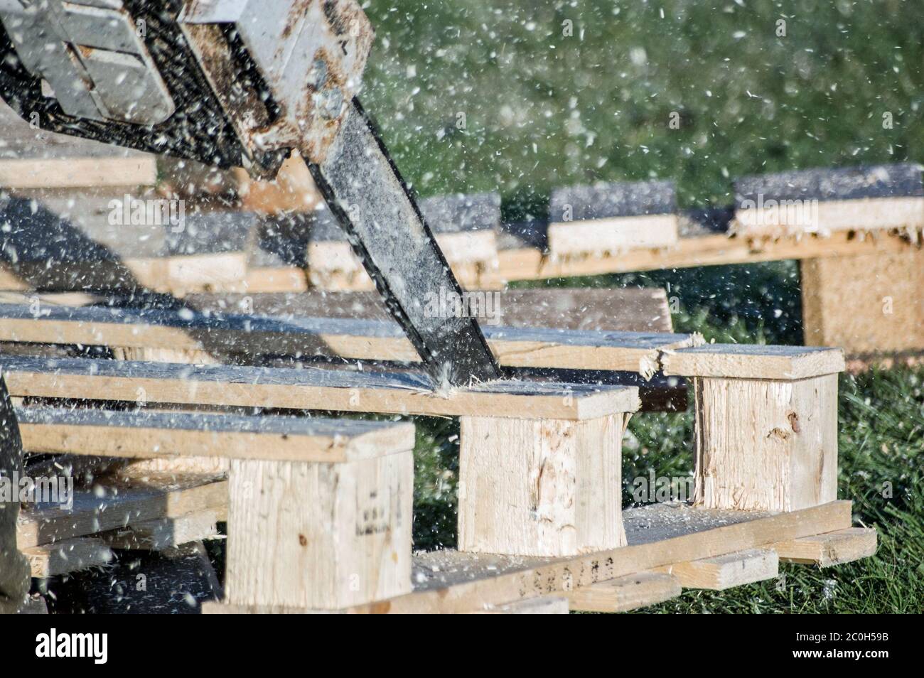 Nubes de aserrín soplando alrededor de una sierra de chainsaw siendo  utilizado para cortar a través de palets de madera Fotografía de stock -  Alamy