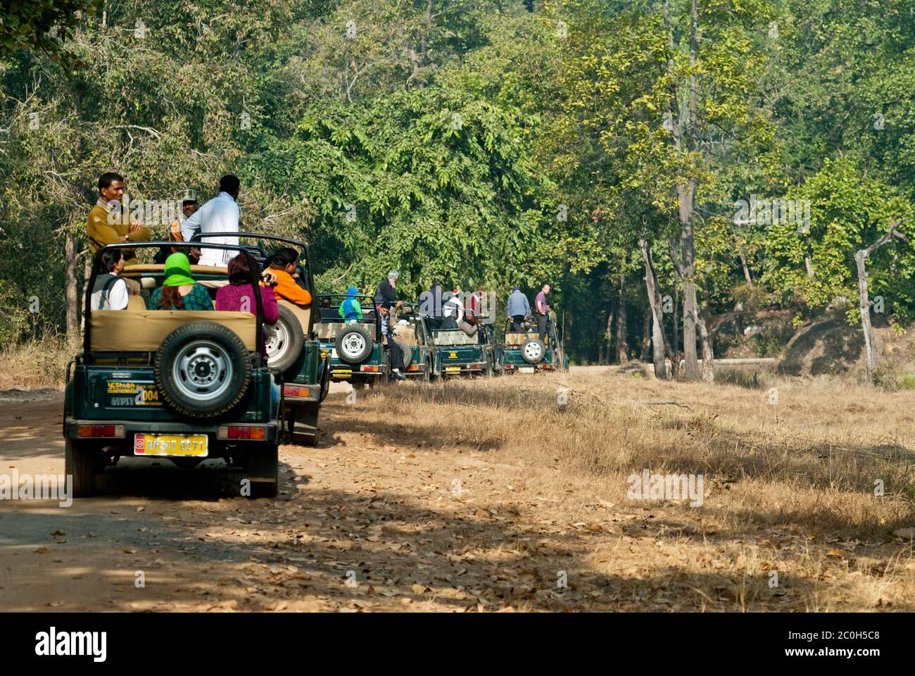 Ecoturismo en la India en la Reserva de Tigre de Kanha Foto de stock