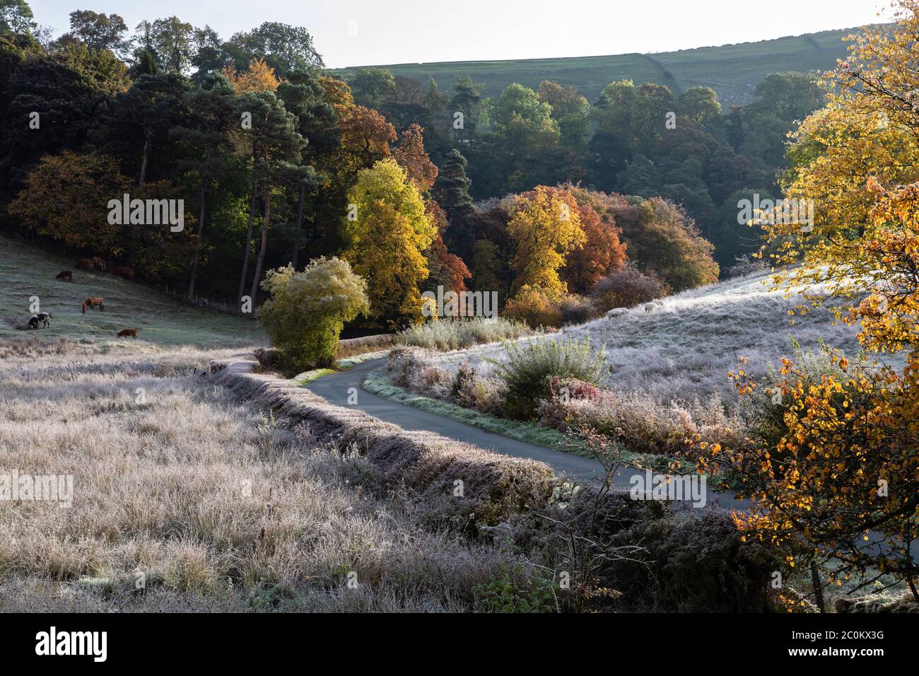 Una mañana de otoño helada en Beresford Dale, Dove Valley, Peak District National Park, Staffordshire, Inglaterra Foto de stock