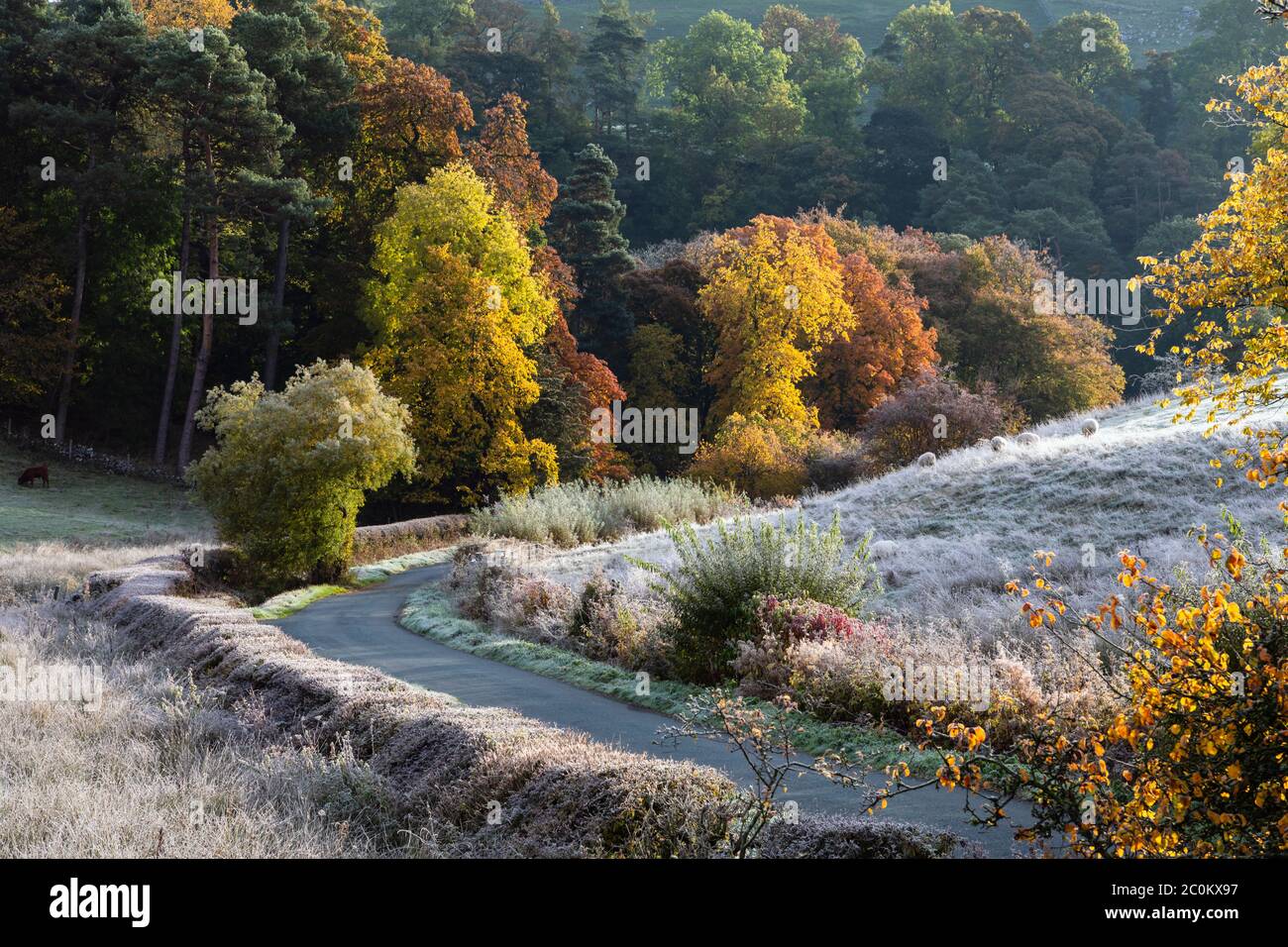 Una mañana de otoño helada en Beresford Dale, Dove Valley, Peak District National Park, Staffordshire, Inglaterra Foto de stock
