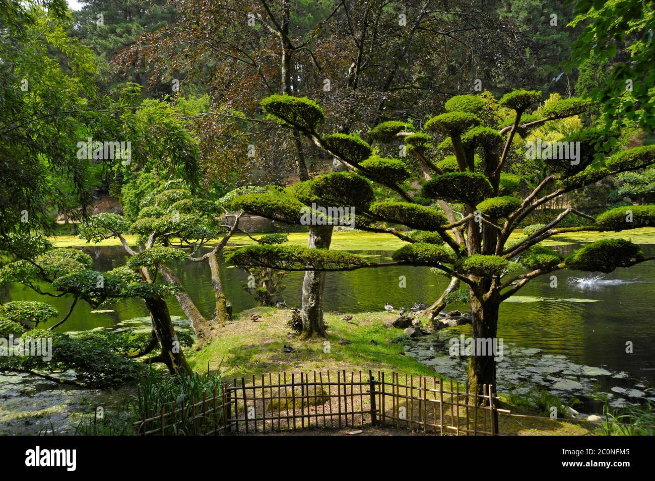 Jardines japoneses Maulevrier Francia. Foto de stock