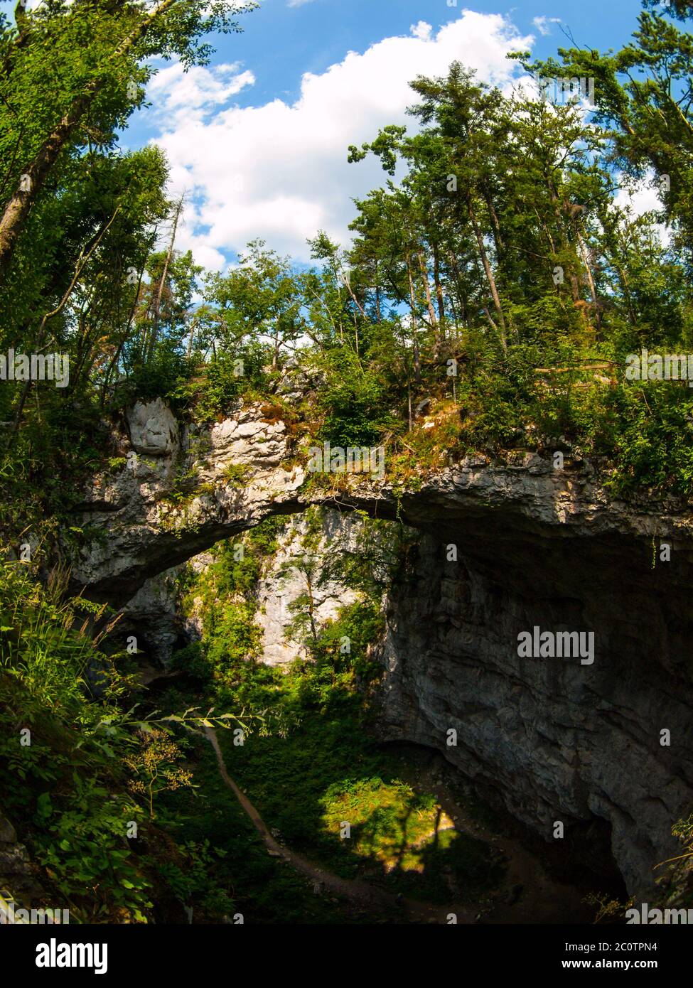 Puente de roca natural en el valle del Skocjan karst de Rakov, Eslovenia Foto de stock