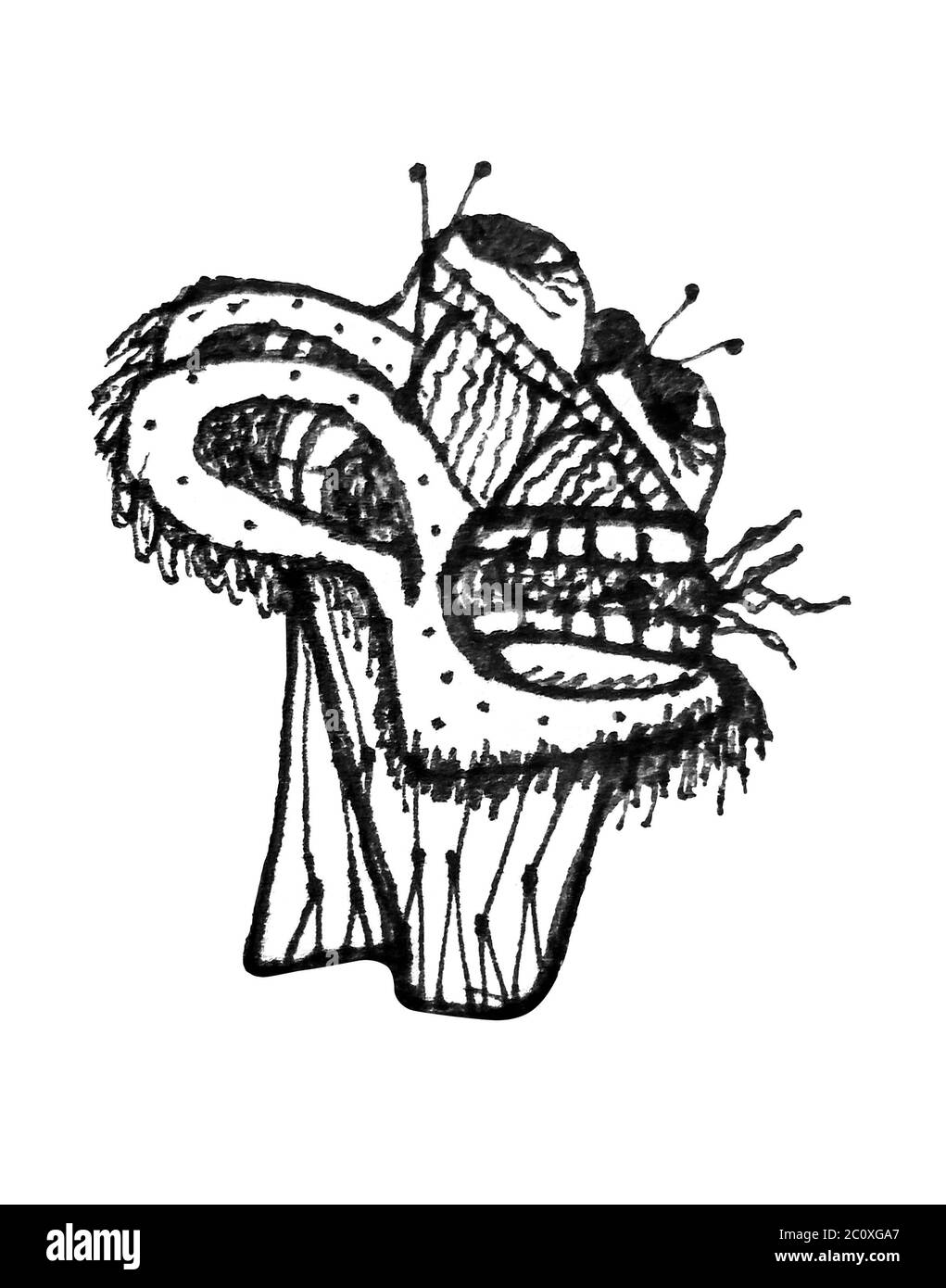 Dibujo a Lápiz en blanco y negro ilustración raster de fantasía en vista  lateral de la cabeza del monstruo disparo aislado en fondo blanco  Fotografía de stock - Alamy