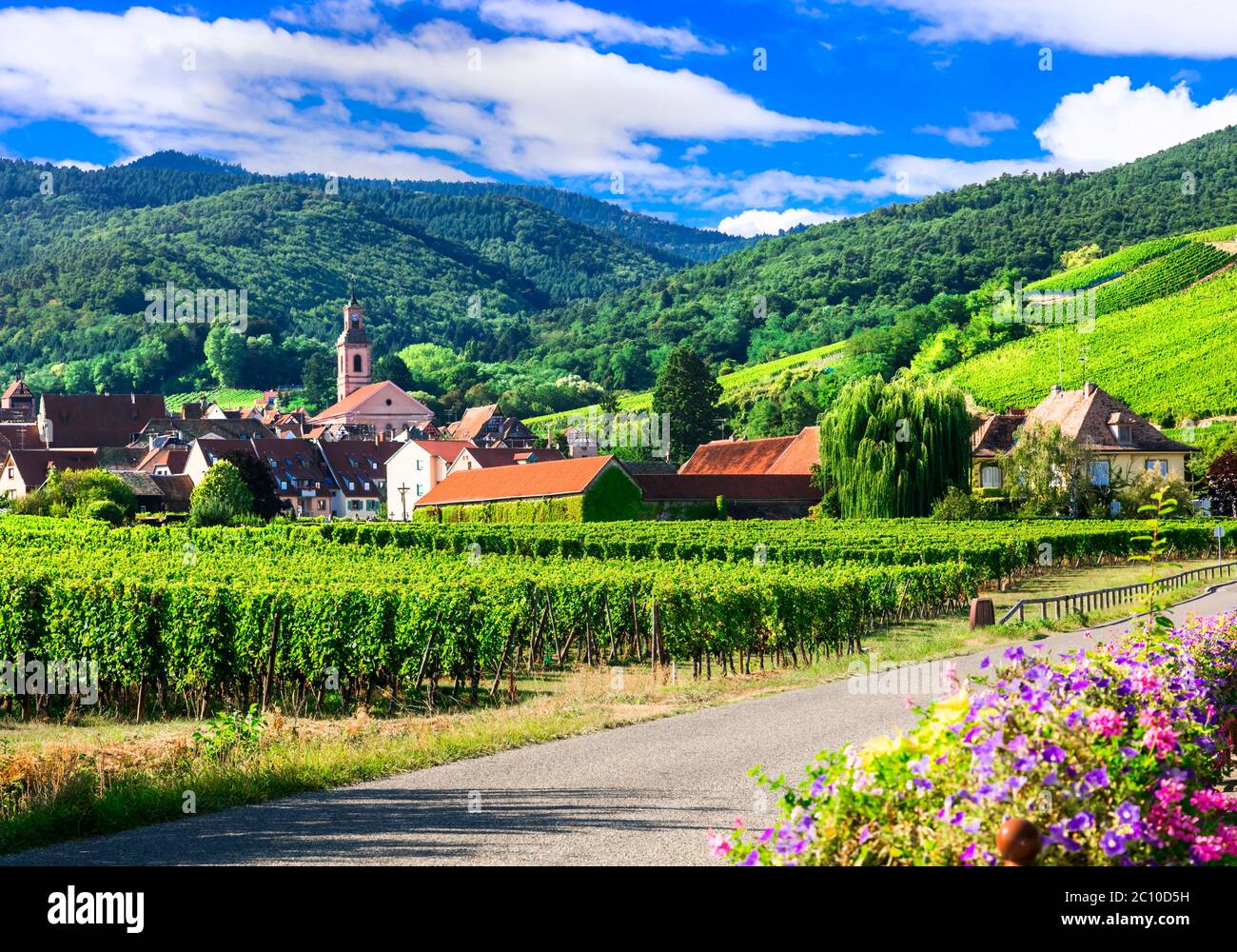 Hermoso campo de la región de Alsacia - famosa "ruta de la vid" en Francia. Husseren les Chateau pueblo Foto de stock