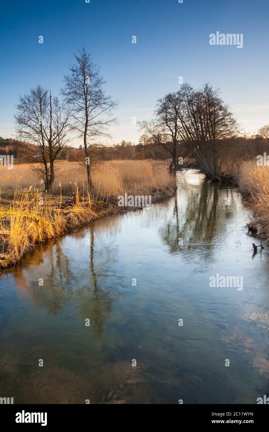 Paisaje con río en campo. Hermosa escena tranquila rural Foto de stock