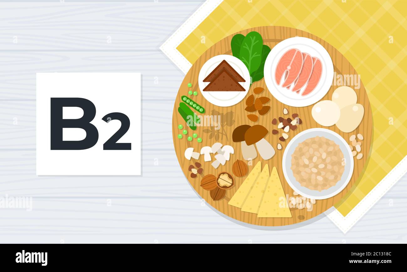 Ilustración de vector plano de vitamina B2. Alimentos que contienen