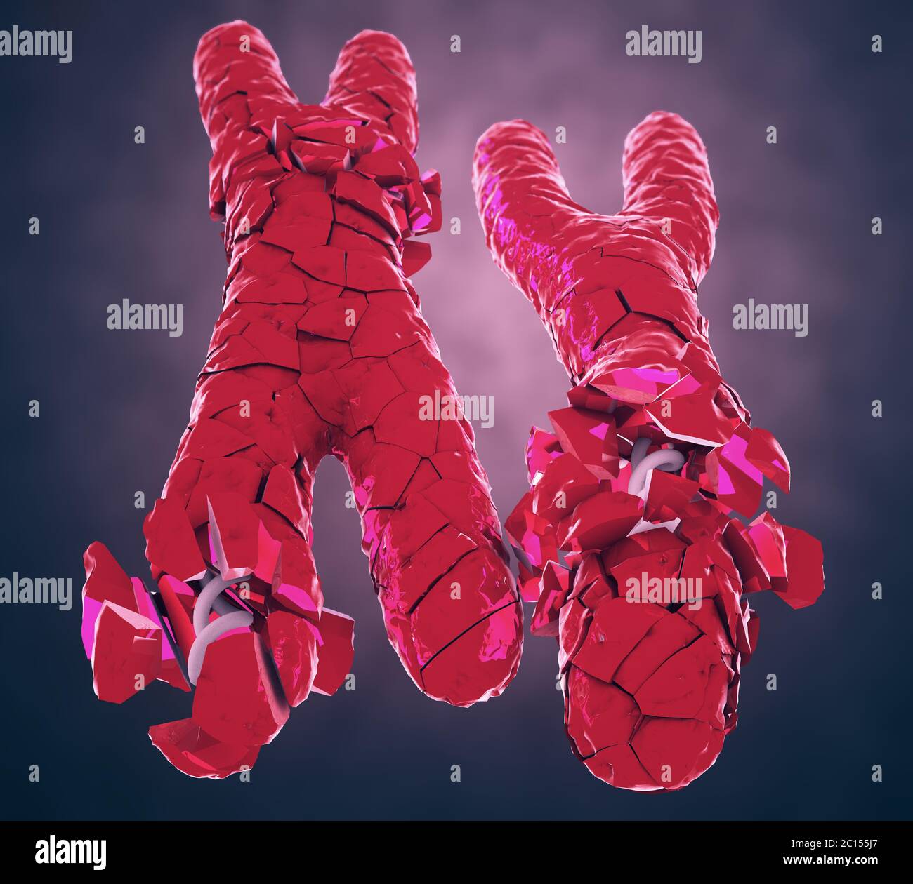 Ilustración 3d De Rota O Desertado De Color Rojo De Los Cromosomas X E Y Fotografía De Stock Alamy