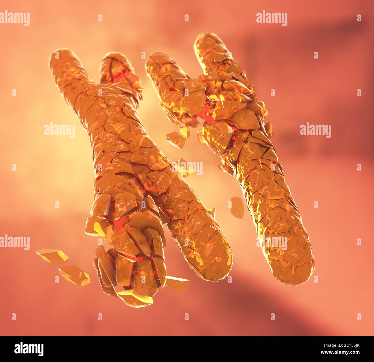 Ilustración 3d De Rota O Desertado De Color Naranja Los Cromosomas X E Y Fotografía De Stock