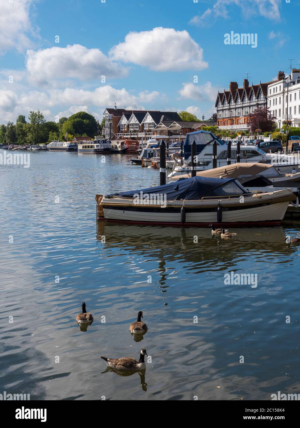 Paisaje de Riverside, Henley-on-Thames, River Thames, Oxfordshire, Inglaterra, Reino Unido, GB. Foto de stock