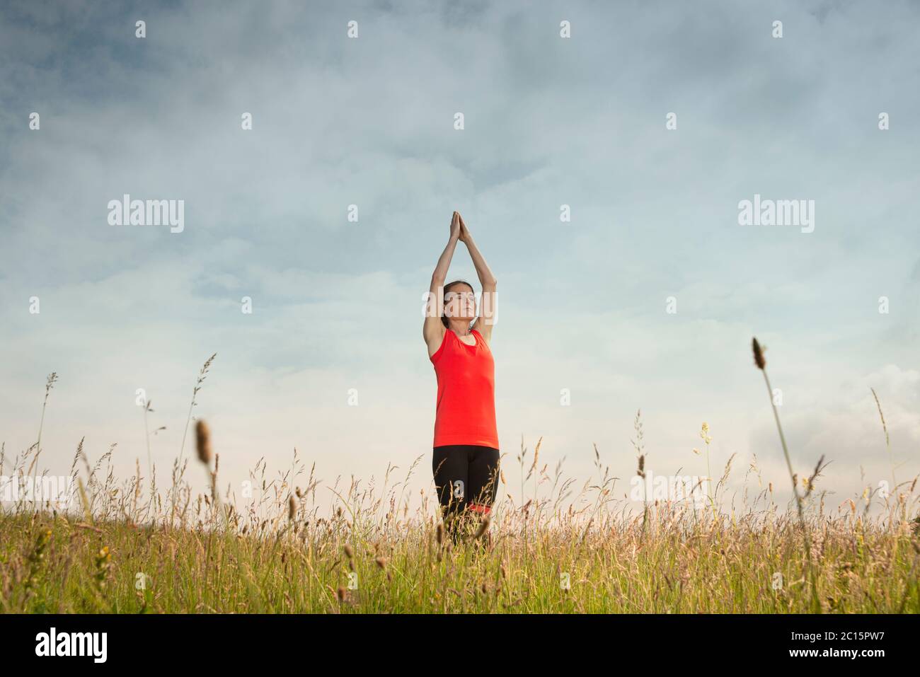 Mujer practicando yoga en un campo de flores silvestres y césped, concepto de estilo de vida saludable. Foto de stock