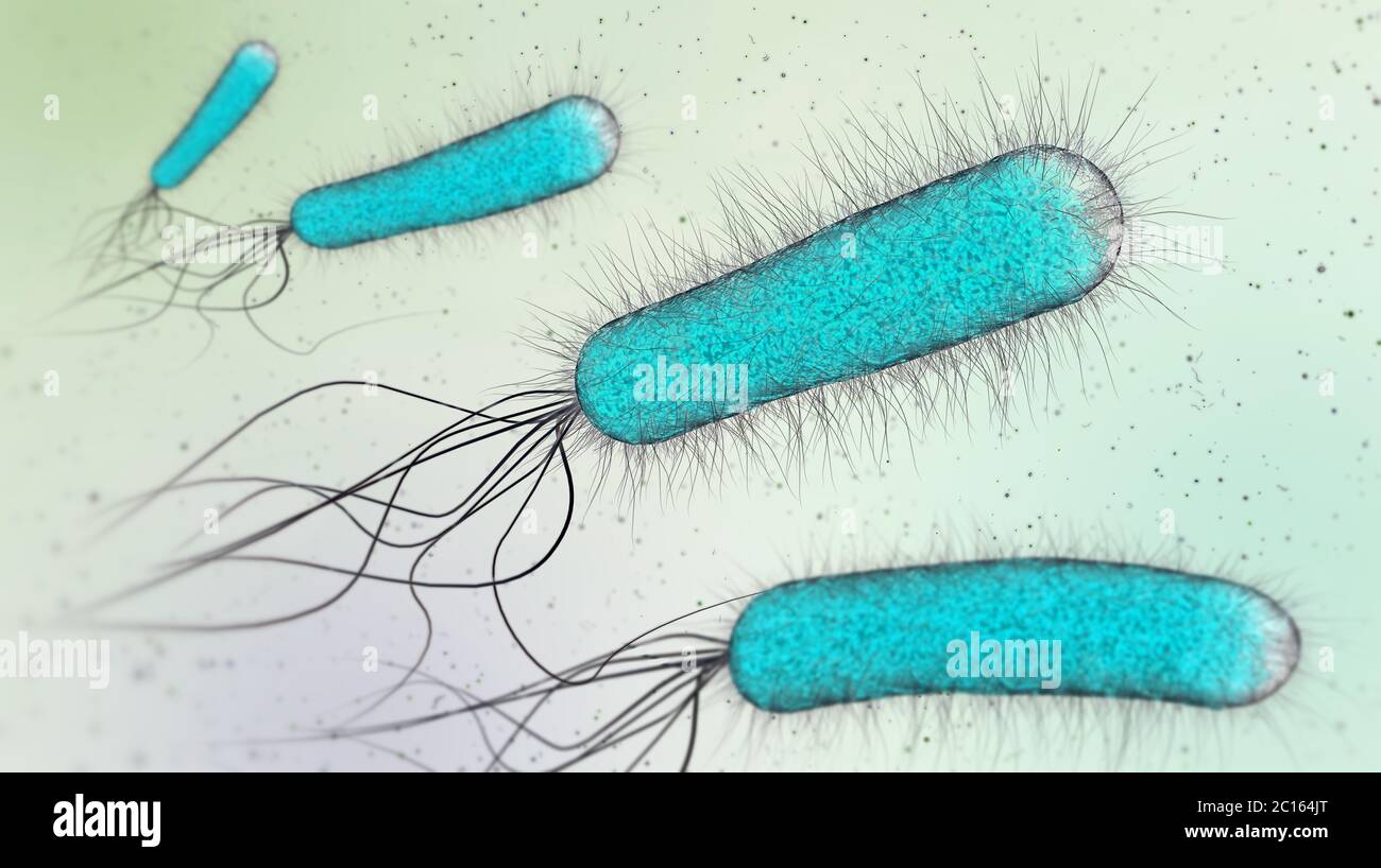 Ilustración 3d de azul bacterias o microorganismos de celda única Foto de stock