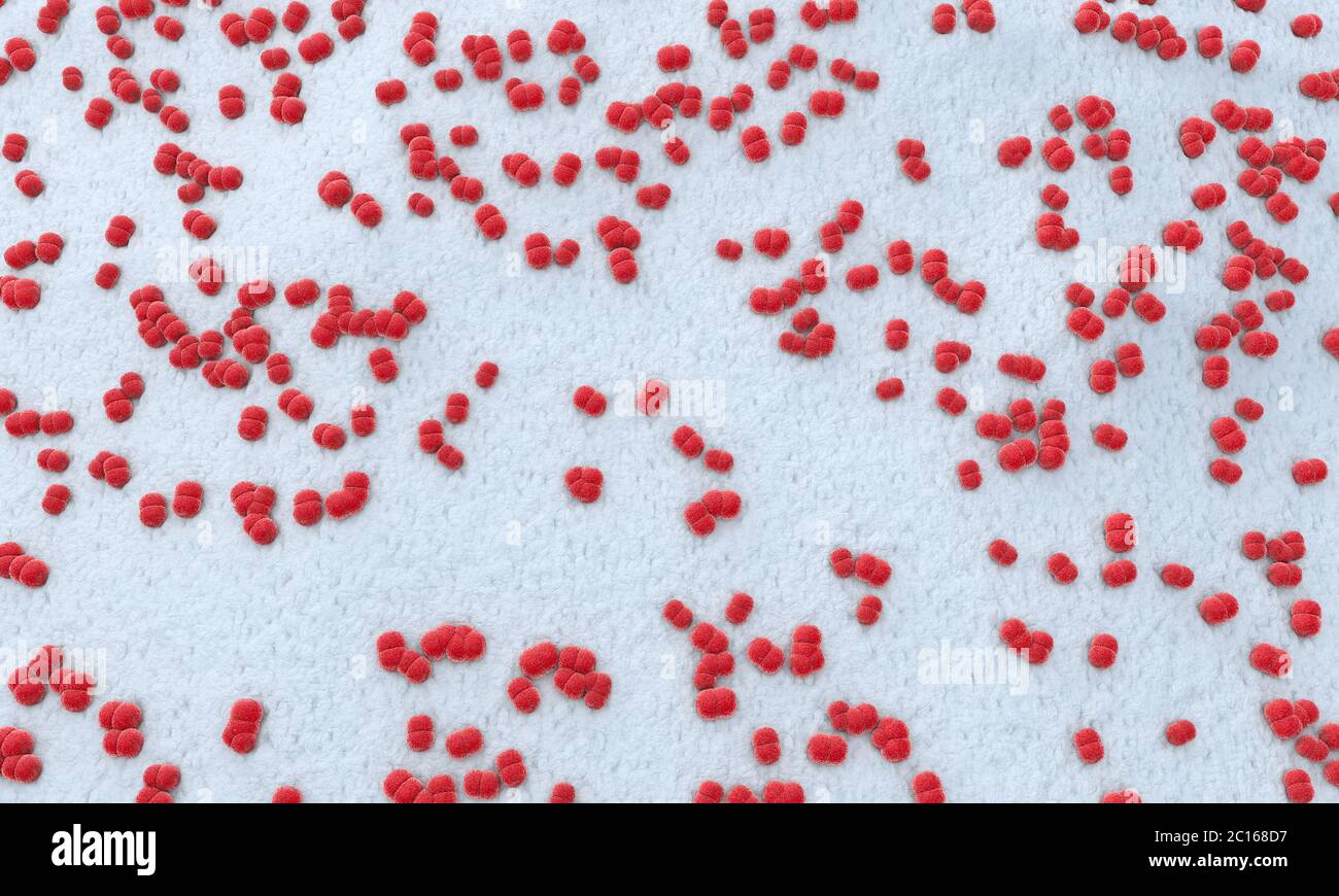 Ilustración 3d de cientos de meningitis patógenos llamado menigococcus Foto de stock