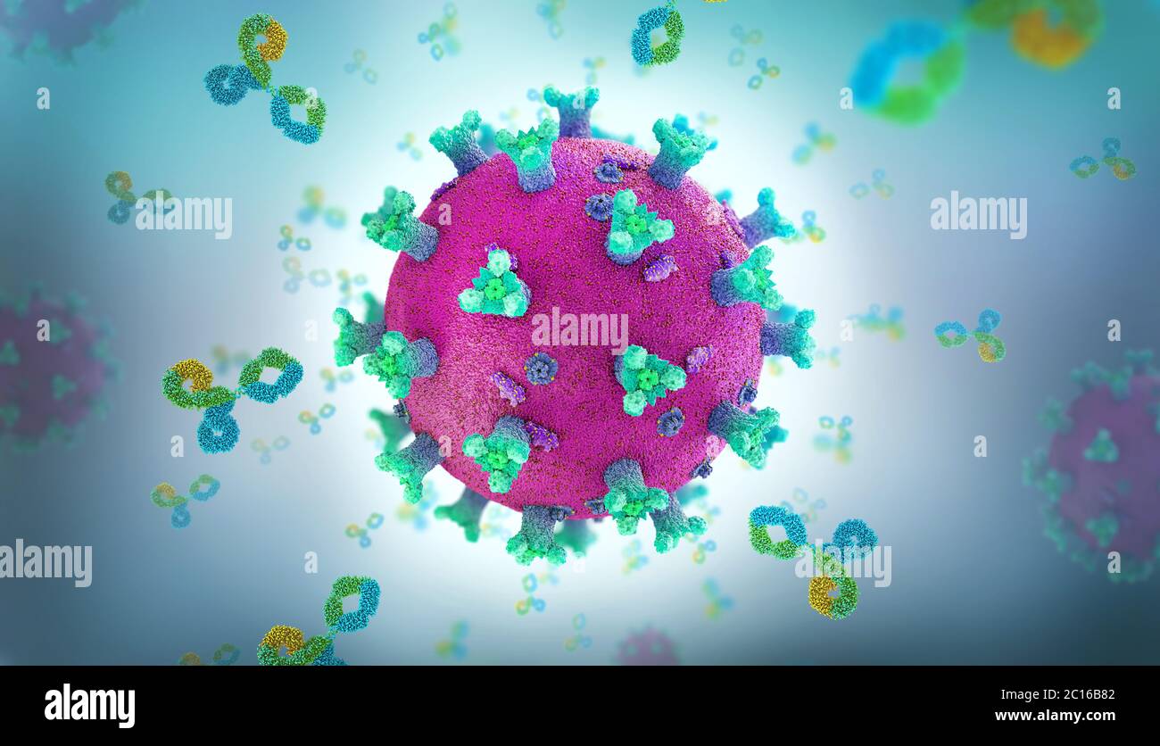 Las proteínas de inmunoglobulina o anticuerpos atacan una célula patógena del virus de la corona - ilustración 3d Foto de stock