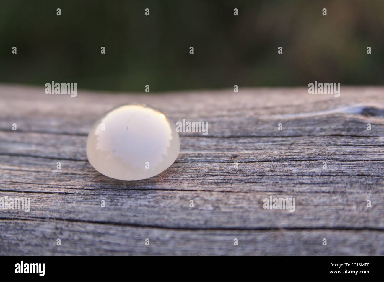 Una piedra gemela de agate crema blanca aislada de calcedonia sobre fondo de madera que brilla en la luz del sol. Las gemas de calcedonia vienen en una variedad de colores diferentes Foto de stock