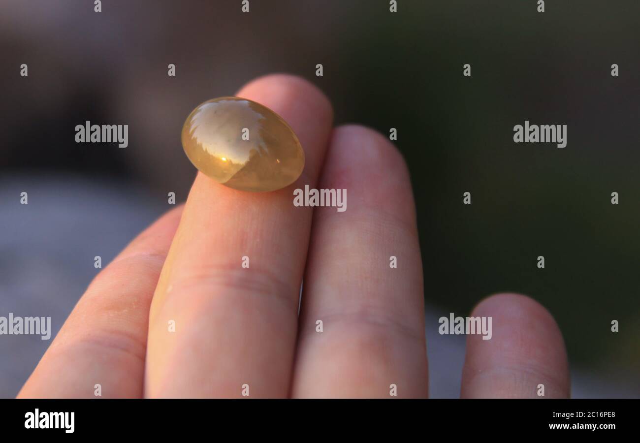 Una calcedonia amarilla aislada agate piedra preciosa en la punta de los dedos brillando en la luz del sol. Las gemas de calcedonia vienen en una variedad de colores diferentes y son usua Foto de stock